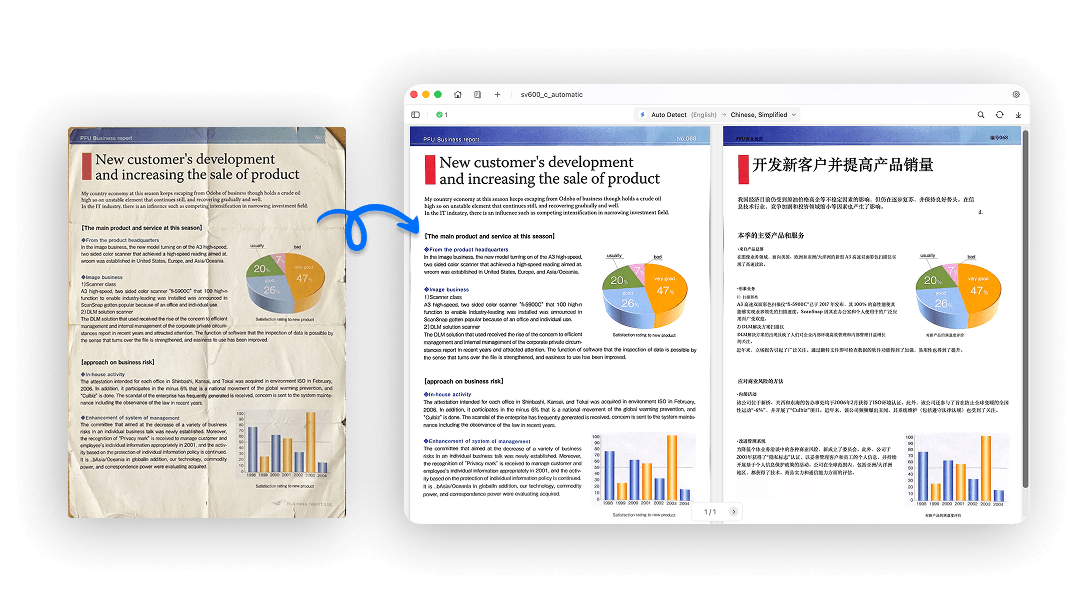 Scanned Document Translation